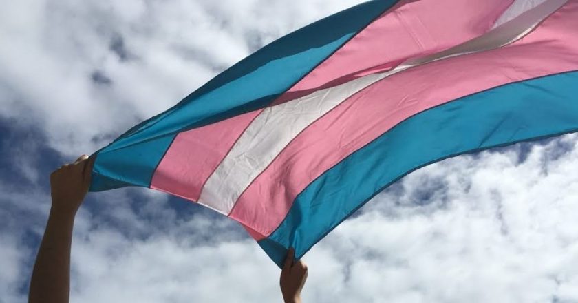 Segundo relatório, São Paulo é o estado que mais contrata pessoas trans