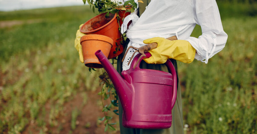 Desafios do Setor de Fertilizantes: Perspectivas Sustentáveis na Análise de Cauê Lopes Martins